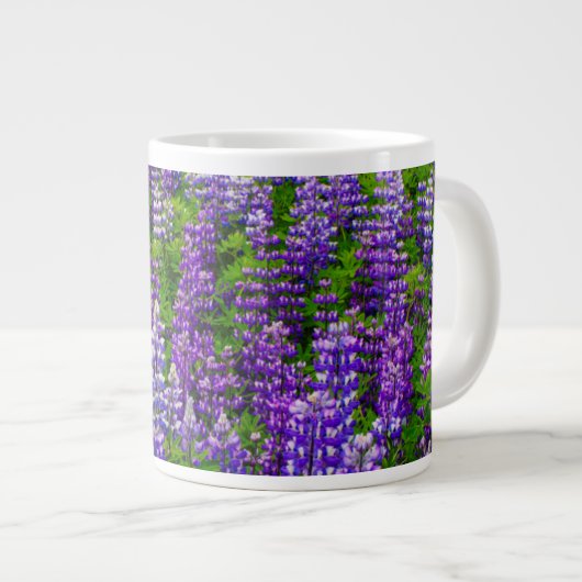 IJsland. Vik i Myrdal. Lupineveld Grote Koffiekop (Voorkant rechts)