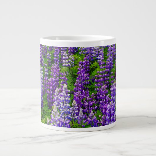 IJsland. Vik i Myrdal. Lupineveld Grote Koffiekop (Voorkant)