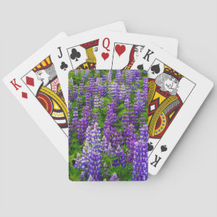 IJsland. Vik i Myrdal. Veld met Lupine Pokerkaarten