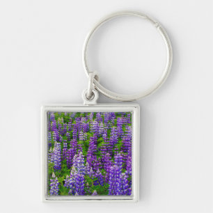 IJsland. Vik i Myrdal. Veld met Lupinen Sleutelhanger