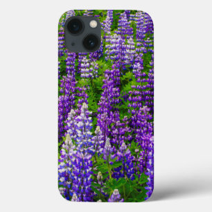 IJsland. Vik i Myrdal. Veld van Lupinen iPhone 13 Hoesje
