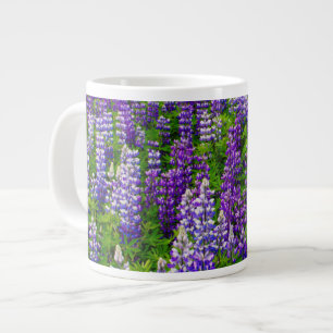 IJsland. Vik i Myrdal. Veld van Lupinen Grote Koffiekop