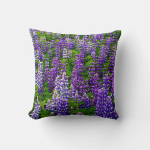 IJsland. Vik i Myrdal. Veld van Lupines Kussen