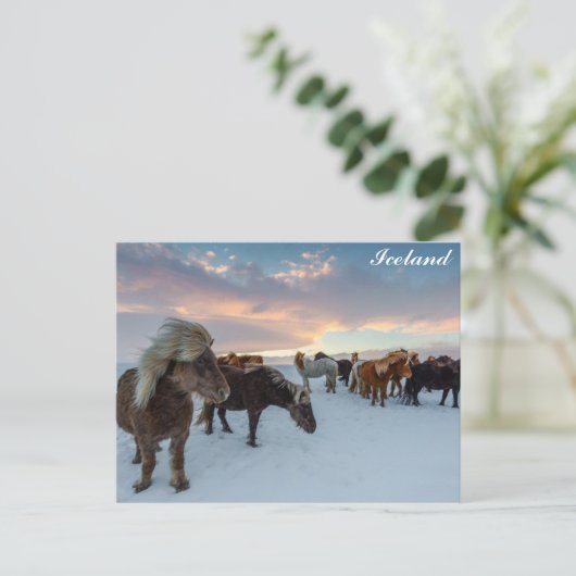 IJsland Wilde Paarden Reisfoto Briefkaart (Staand voorkant)