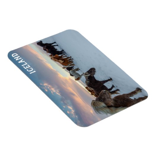 IJsland Wilde Paarden Reisfoto Magneet (Rechterzijde)