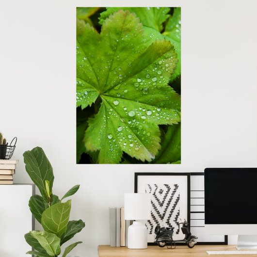 IJsland. Zuid-regio. Gullfoss Poster (Thuiskantoor)