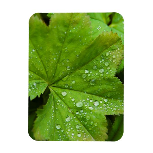 IJsland. Zuidelijke regio. Gullfoss Magneet (Verticaal)