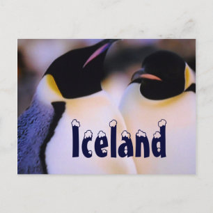 IJslands arctische pinguïns briefkaart