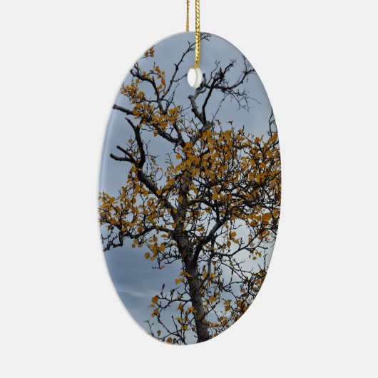 IJslands Birch Ornament (Rechts)