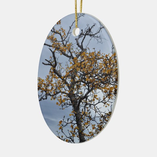 IJslands Birch Ornament (Links)