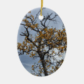 IJslands Birch Ornament (Voorkant)