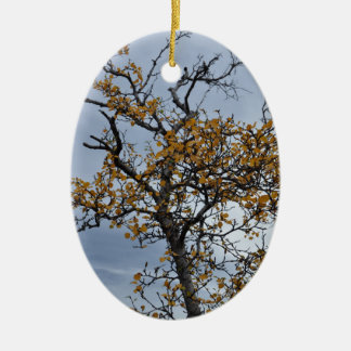 IJslands Birch Ornament