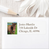 IJslands etiket met retouradres voor paarden (Insitu)