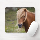 IJslands foal Muismat (Met muis)