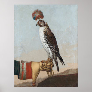 IJslands Gyrfalcon Poster