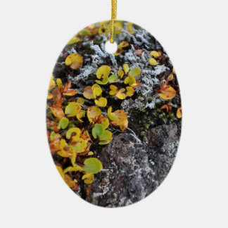 IJslands Hoesje Keramisch Ornament