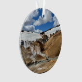 IJslands hooglandsieraad Ornament (voorkant)