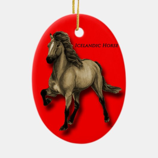  IJslands Keramisch Ornament (Achterkant)