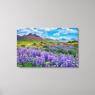 IJslands landschap Lupines in bloei Canvas Afdruk