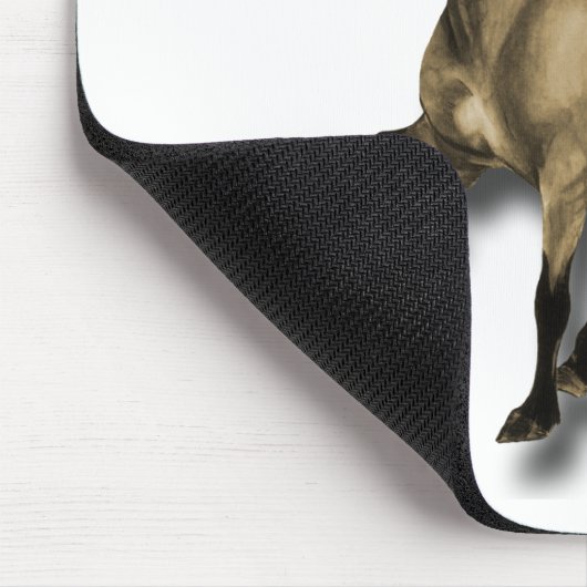  IJslands Muismat (Hoek)