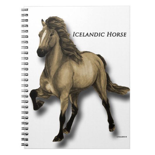  IJslands Notitieboek (Voorkant)