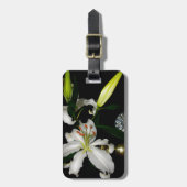 IJslands ontwerp - Collectie met messing en blauw Bagagelabel (Voorkant verticaal)