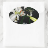 IJslands ontwerp - Collectie met messing en blauw Ovale Sticker (Tas)