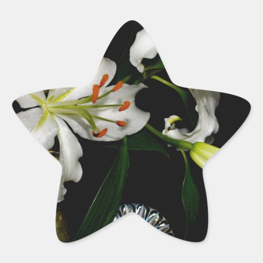 IJslands ontwerp - Collectie met messing en blauw Ster Sticker (Voorkant)