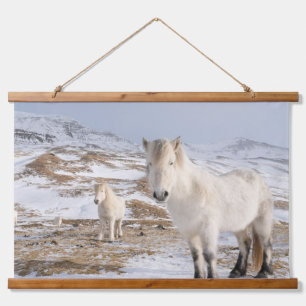 IJslands Paard   Blonduos, IJsland Hangend Wandkleed