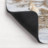 IJslands Paard | Blonduos, IJsland Muismat (Hoek)