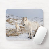 IJslands Paard | Blonduos, IJsland Muismat (Met muis)