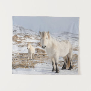 IJslands paard   Blonduos, IJsland Wandkleed