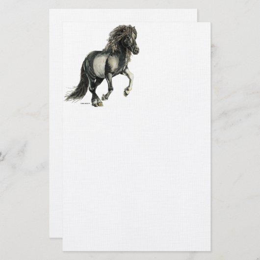 IJslands paard Brana Briefpapier (Voorkant / Achterkant)