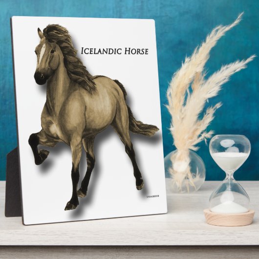 IJslands paard Fotoplaat (Zijkant)