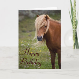 IJslands paard Happy Birthday Wenskaart Kaart
