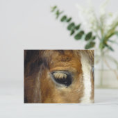 IJslands paard - IJsland Briefkaart (Staand voorkant)