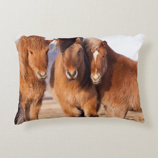 IJslands paard in de winter Accent Kussen (Voorkant)