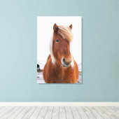 IJslands paard in de winter Canvas Afdruk (Insitu (Houten vloer))