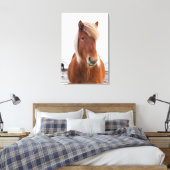 IJslands paard in de winter Canvas Afdruk (Insitu (Slaapkamer))