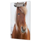 IJslands paard in de winter Klembord (Links)