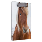 IJslands paard in de winter Klembord (Rechts)