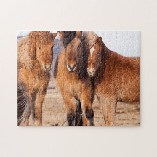 IJslands paard in de winter Legpuzzel (Horizontaal)