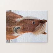 IJslands paard in de winter Legpuzzel (Horizontaal)