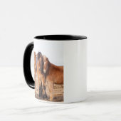 IJslands paard in de winter Mok (Voorkant links)