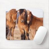 IJslands paard in de winter Muismat (Met muis)