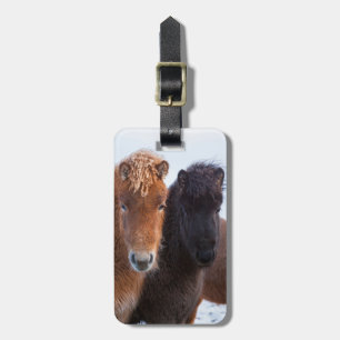 IJslands paard in de winter op IJsland Bagagelabel