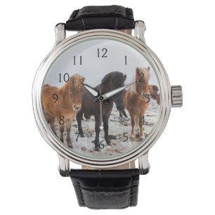 IJslands paard in de winter op IJsland Horloge