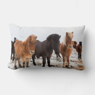 IJslands paard in de winter op IJsland Kussen