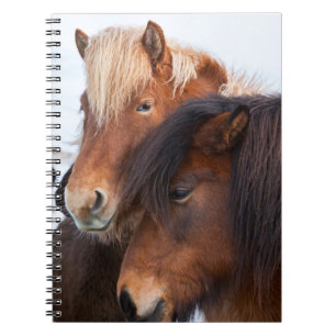 IJslands paard in de winter op IJsland Notitieboek
