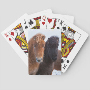 IJslands paard in de winter op IJsland Pokerkaarten
